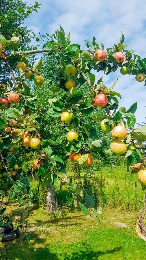 Apartamento Ferien Unnern Appelboom Gross Kordshagen Exterior foto